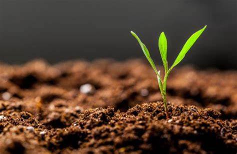 关于《长治市威远门北路东、北二环路南地块（地块编号：B-14-01）土壤污染状况调查报告》的公示