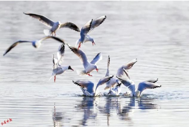 天蓝水清，长治为什么这么美？