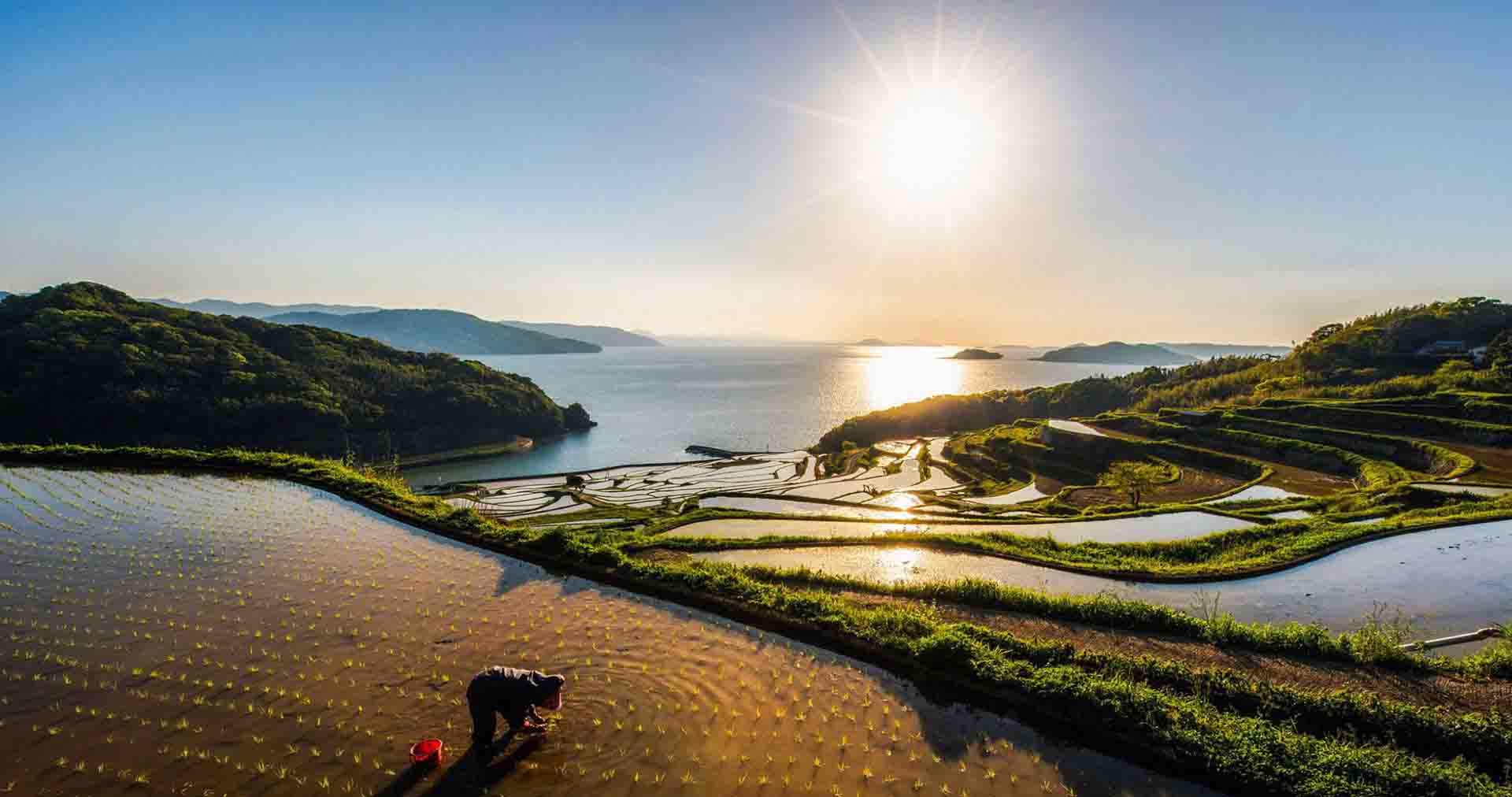 生态环境部张大伟：VOCs治理已成为大气领域明显短板，主要治理措施有哪些？